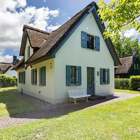 Strandmuschel